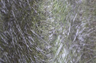 Pirnmill fibreglass roof work